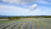 IMG-20210214-WA0072