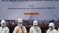 IMG-20210322-WA0071