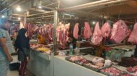 IMG-20220303-WA0053